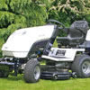 F1 at the Chelsea Flower Show