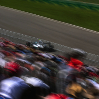 Qualifying Report - Not Needed