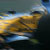 Qualifying Report - Ferrari fervour dampened in China