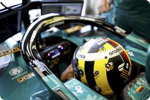 Vettel to save bees rather than race says Berger