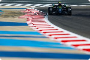 Hamilton should only have six titles says Ecclestone