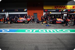 Red Bull scraps plans for DAS copy